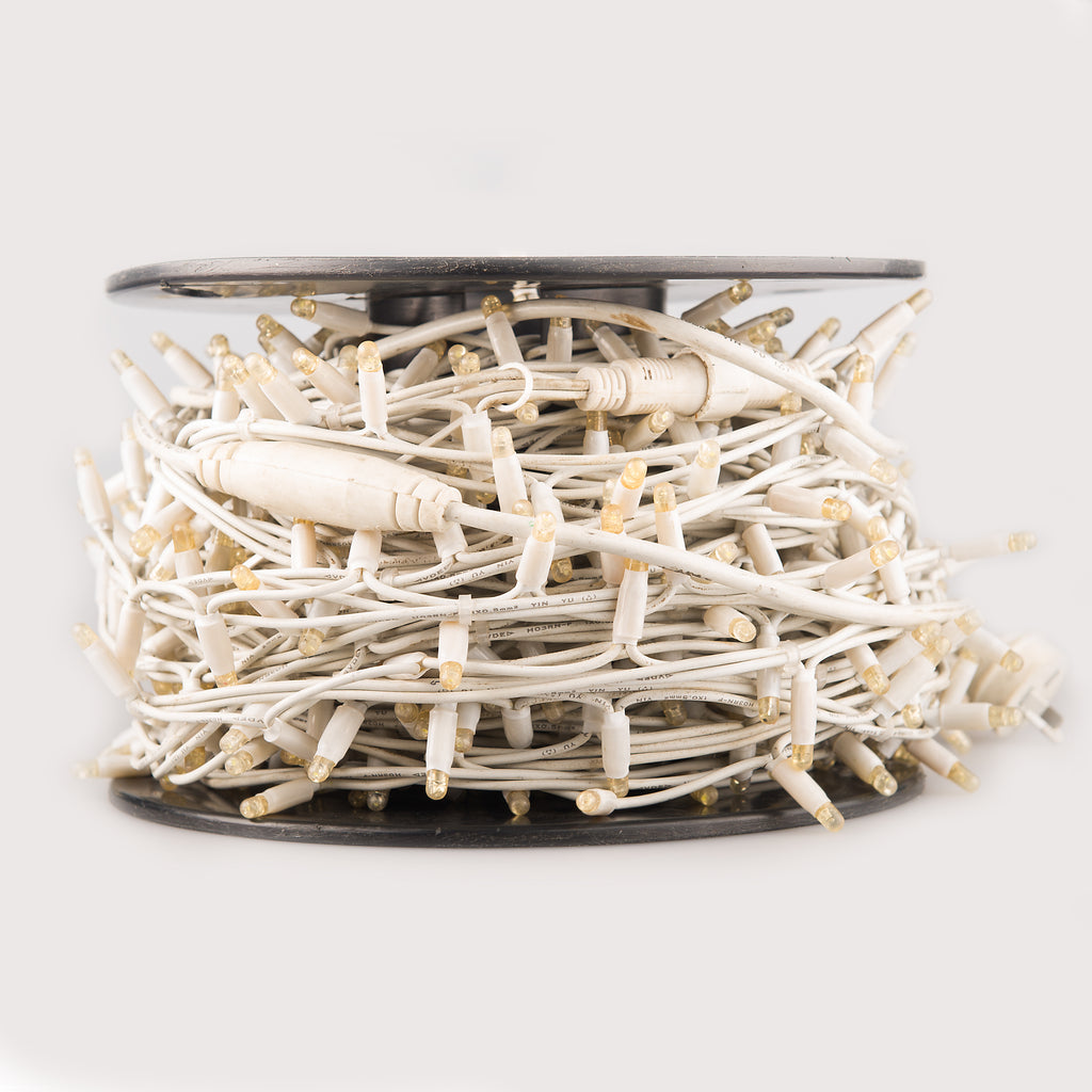 Gold Wedding package