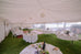 Gold Wedding package
