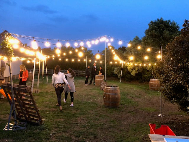 Festoon Lights, 15m