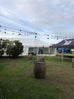 Festoon Lights, 15m