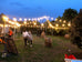 Festoon Lights, 15m